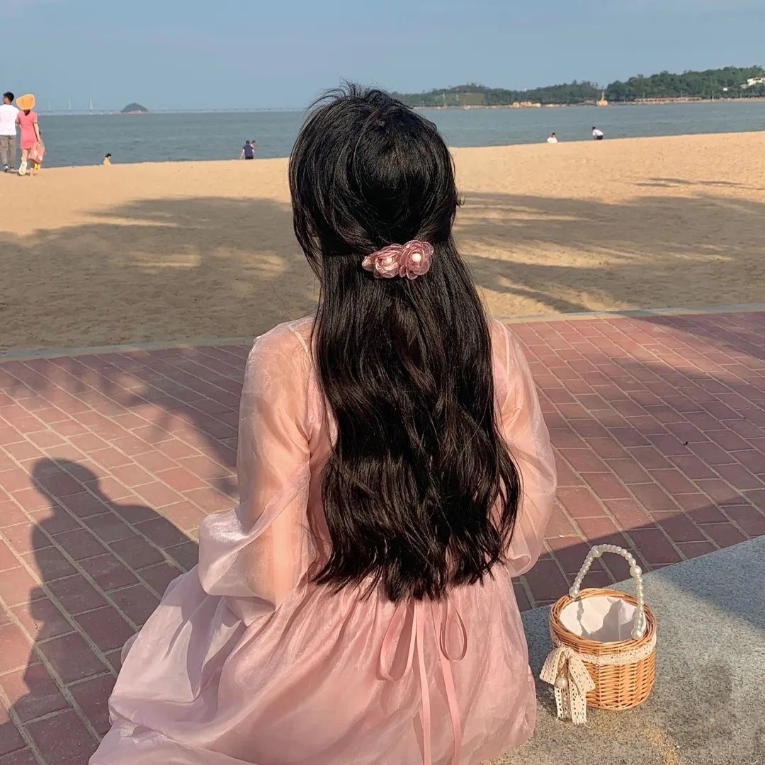 大明王朝1566