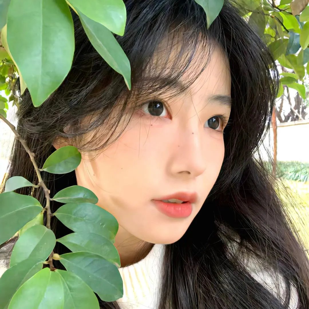 绝密档案：迷失世界